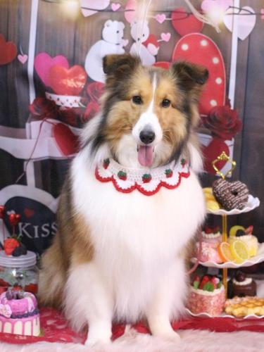 20250219ティーラちゃん